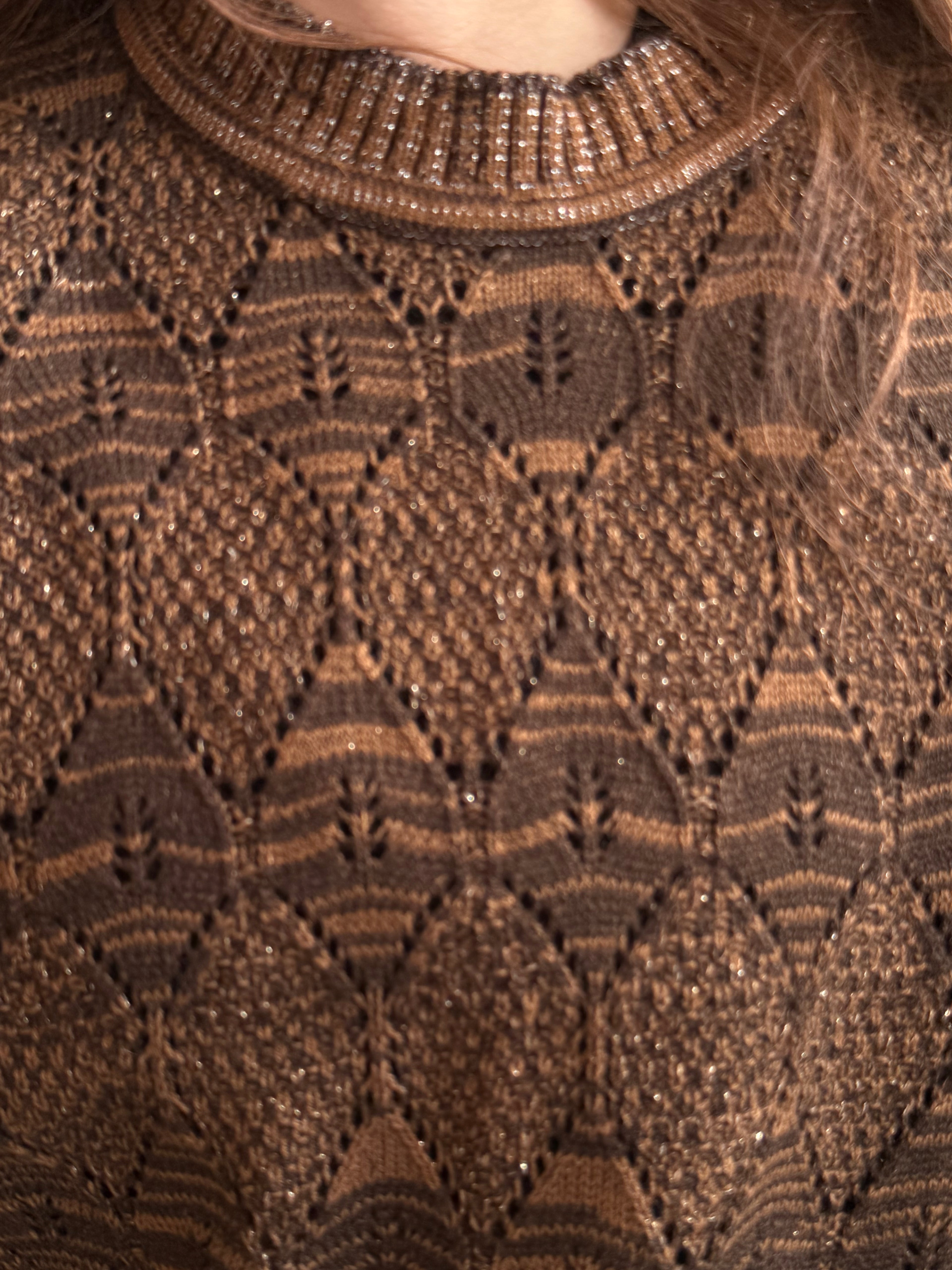 Chaleco Alpaca Coffee Silver